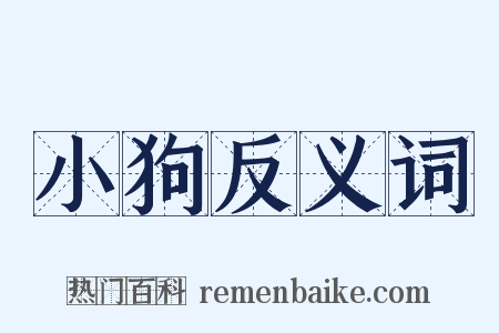 小狗反义词是什么意思的图片